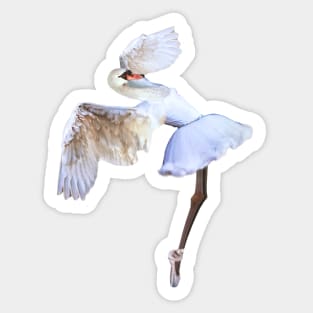 White Swan Sticker